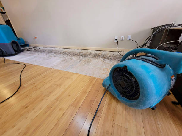 Reliable Basement Flood Cleanup contractor in Iola, KS by Hirex Water Damage