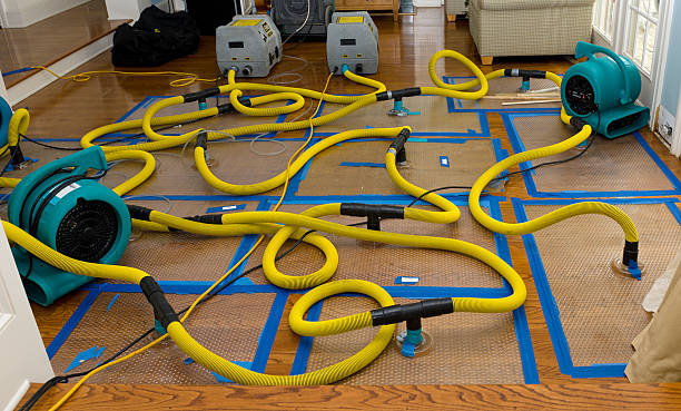 Professional Basement Flood Cleanup technician working in Iola, KS